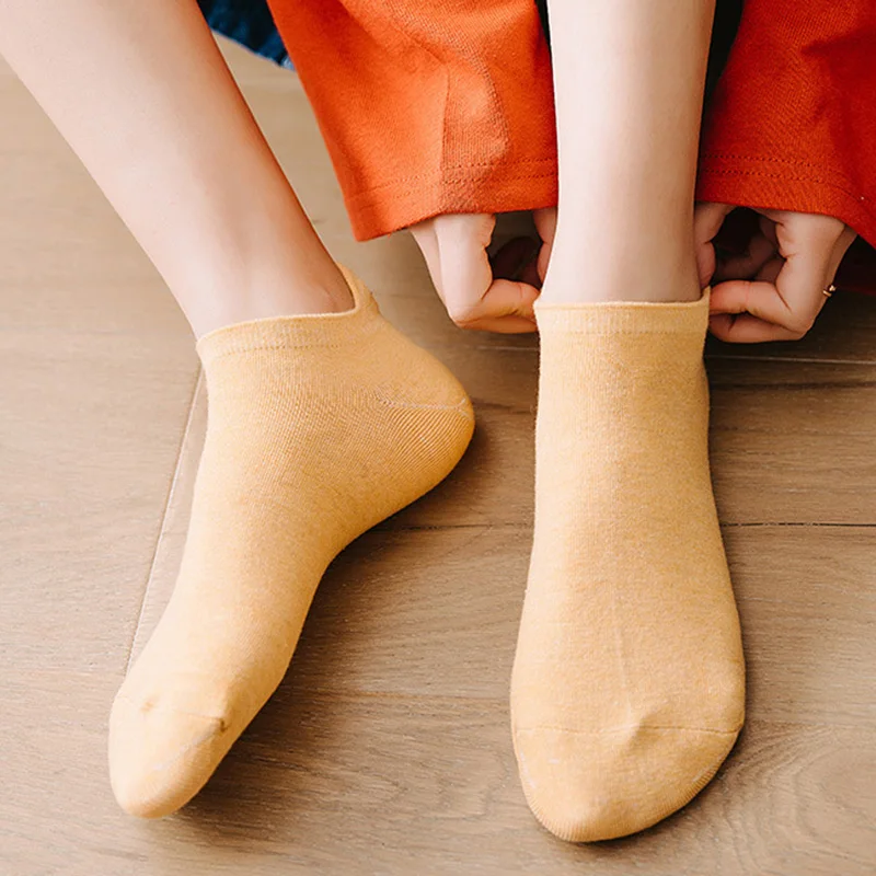 5 Pair Animal Embroidery Ankle Socks Women Cute Cat Summer Short Socks Set Cartoon Kawaii Soft Brand Designer Sokken - Image 2